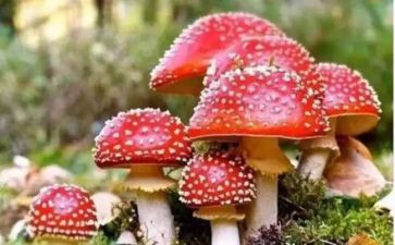禁毒科工作总结5篇