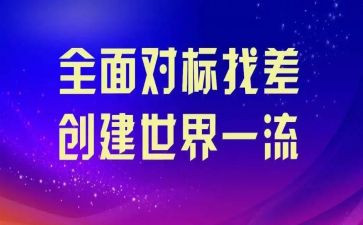 对标培训心得体会总结范文6篇