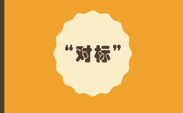 对标工作心得体会最新6篇