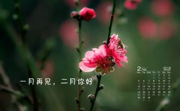 第二月的工作总结参考6篇
