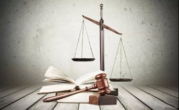 大学生与法的心得体会800字优质8篇
