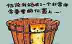 6.1活动的总结和反思最新6篇