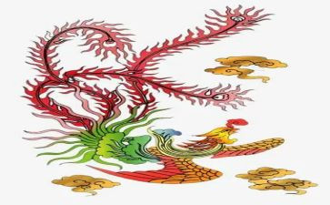火凤凰观后感8篇