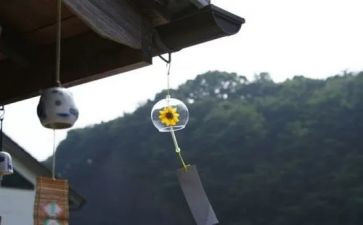 纸风铃紫风铃读后感7篇