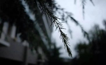 风雨中,我_______作文推荐7篇