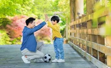 父与子读后感作文300字最新8篇