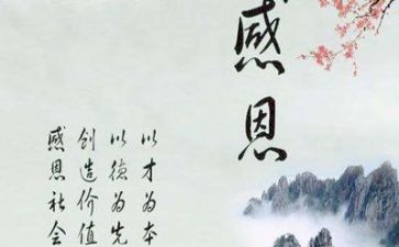感恩教师的活动总结优质6篇