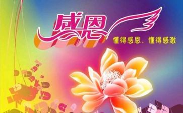 感恩教师的活动总结5篇