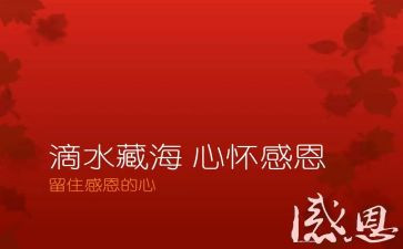 向老师感恩的演讲稿精选7篇