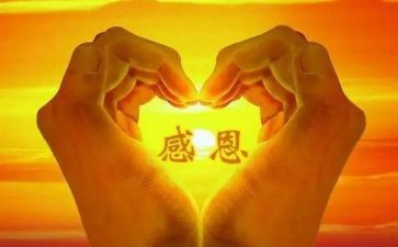 感恩节活动的总结8篇