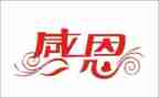 感恩月活动方案优质8篇
