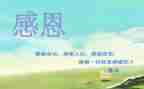 感恩节作文600字作文7篇