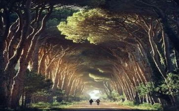 告别母校演讲稿5篇