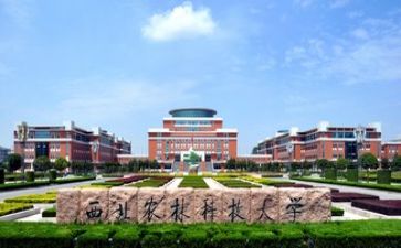 高校毕业鉴定表自我鉴定优秀7篇
