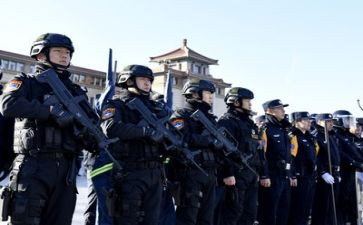 公安半年度工作总结8篇