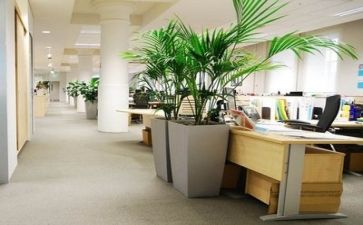公司领导讲话稿范文7篇