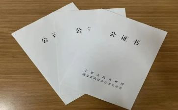 公证处2024年工作总结7篇