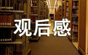 上甘岭观后感,电影上甘岭观后感5篇