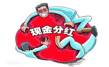 股东出资合同5篇