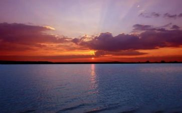 海的感悟作文精选8篇