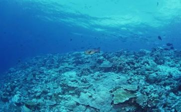 海底两万里的读后感精选6篇