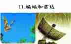 蝙蝠和雷达教案参考5篇