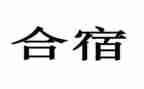 大学合宿活动方案模板8篇