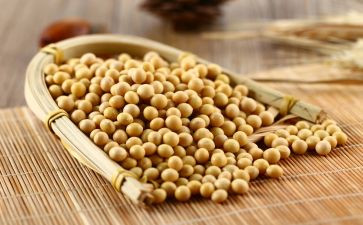 泡黄豆作文推荐5篇