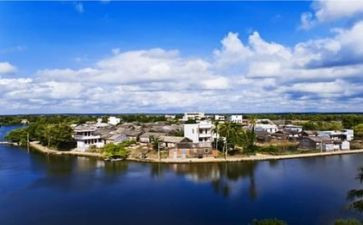 写环境的演讲稿八百字7篇