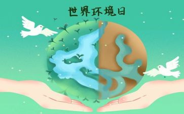 环境日活动方案策划7篇