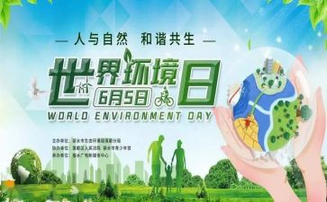 学校6.5环境日活动总结6篇