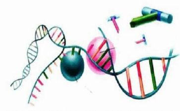 初中理化生组教研总结5篇