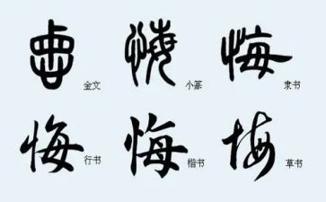 我无悔的青春演讲稿7篇
