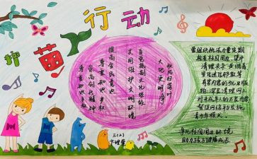 护苗行动的观后感7篇