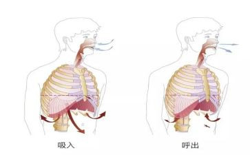呼吸内科心得7篇