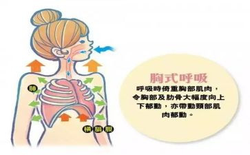 呼吸内科出科自我鉴定7篇