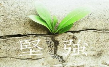 你让我变得坚强作文5篇