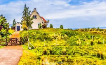 中秋见闻作文500字作文7篇