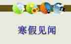 见闻作文100字8篇