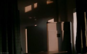 2024教师个人年度总结模板7篇