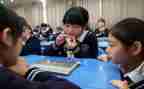 幼儿园教学设计与教案精选8篇