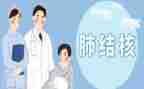 结核自查报告8篇