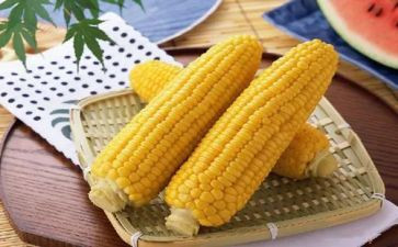 画玉米教案8篇