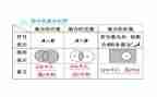 集合大班科学活动教案5篇