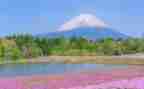 写景的作文500字优秀6篇
