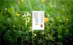 小满节气的作文5篇