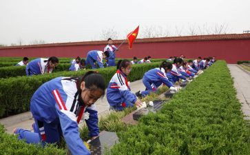 局清明节祭扫活动方案5篇