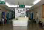 2024急诊护士个人总结8篇