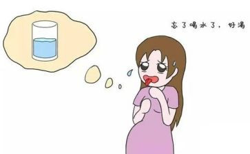 我渴望自由作文600字优秀7篇