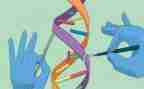 科学活动大班教案优质5篇
